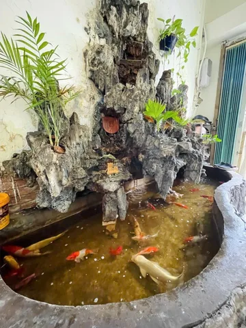 Bán Nhà riêng 73m2 có sẵn 73 m2 thổ cư giá 6.3 tỷ tại Đường Đông Hưng Thuận 21 Phường Đông Hưng Thuận Quận 12 TP. Hồ Chí Minh