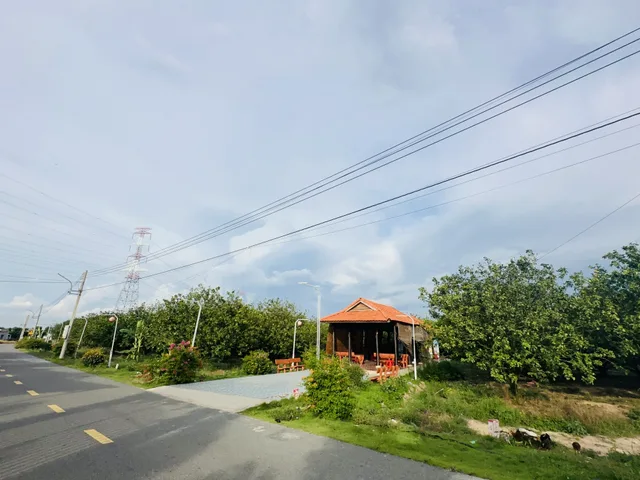 Nhà gửi bán lô đất sào 1500m2-có sẵn thổ cư 100m2, giá công khai 2ty1 ngay chợ trừ Văn thố bàu bàng, quan tâm liên hệ em dẫn đi xem trực tiếp