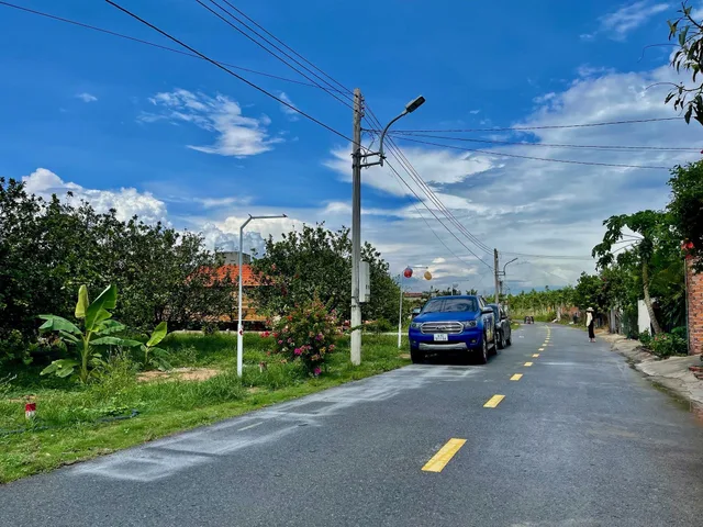 Đất xào TP Hồ Chí Minh sẵn vườn cây ăn trái