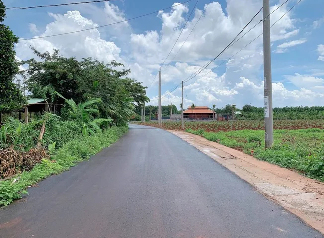 Chủ cần bán gấp lô đất giá 550 triệu - 1.500m² có 200m² thổ cư tại Long Nguyên, Bàu Bàng – cơ hội phù hợp cho anh/chị muốn đầu tư hoặc làm vườn