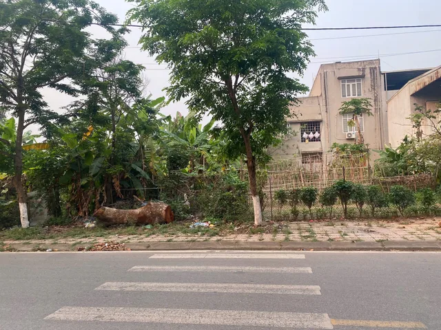 Đất Mặt Đường Phạm Văn Đồng – Sát Đảng Uỷ Phường Xuân Hoà, Phú Thọ – 100m² Full ODT