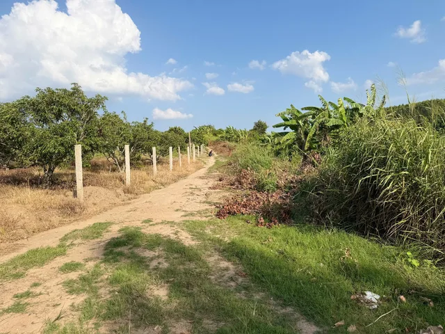 🔥 ĐẤT VƯỜN RỢP BÓNG CÀ PHÊ - GIÁ CHỈ 75 TR/SÀO - EA KNỐP 🔥