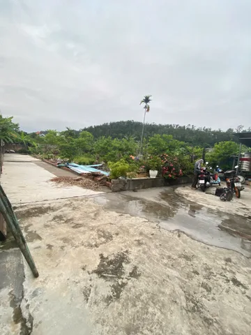Bán Đất 150m2 có sẵn 150 m2 thổ cư giá 690 triệu tại - Chọn - Xã Phù Ninh Huyện Thuỷ Nguyên Hải Phòng