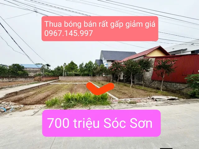 Cực hiếm 700 triệu mỗi lô thua bóng đá cần bán