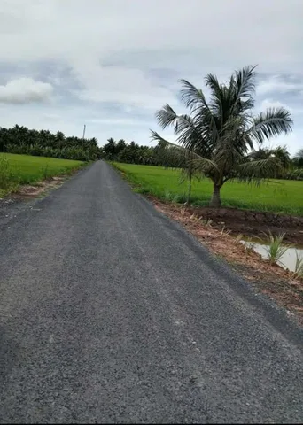 Bán Đất 2066m2 giá 1.8 tỷ tại Đường Huyện 28 Xã Tân Thạnh Huyện Long Phú Sóc Trăng
