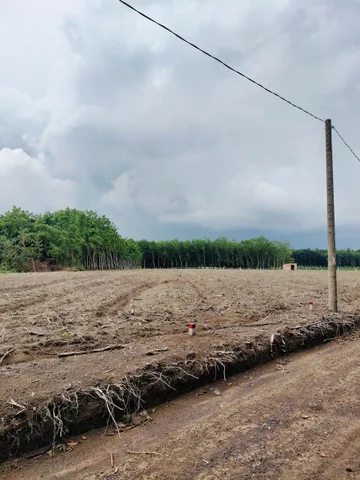 Bán Đất 157.2m2 có sẵn 50 m2 thổ cư giá 300 triệu tại Xã Tân Thành Thành phố Đồng Xoài Bình Phước