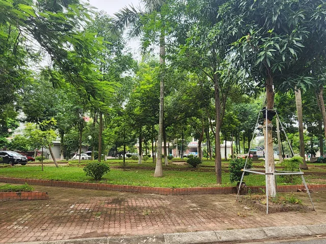 Bán Đất 81m2 giá 7.85 tỷ tại - Chọn - Phường Kinh Bắc Thành phố Bắc Ninh Bắc Ninh