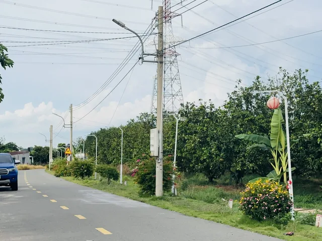 Bán Đất 1500m2 có sẵn 100 m2 thổ cư giá 1.5 tỷ gần chợ Trừ Văn Thố Huyện Bàu Bàng Bình Dương
Có bank hỗ trợ tối đa