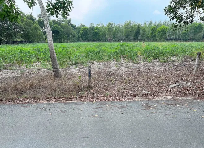 Chủ gửi bán lô đất 20x50m có 100m thổ cư xây dựng tự do, giá siêu ưu đãi 650tr bao thuế, Định An Dầu Tiếng Bình Dương cũ