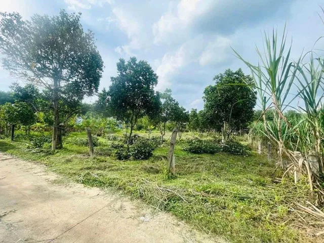 Bê tông Minh Tân đường bàn cờ , dân full..
Xã Minh Thạnh TPHCM
DT 5x40 100tc Giá chỉ có 498tr
Ace cần alo em nhen❤️❤️❤️
☎️0367713453