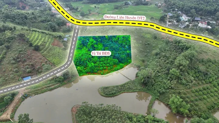 🏞️ CHÍNH CHỦ BÁN GẤP 7000M² ĐẤT ĐỒI BÁM HỒ TẠI KIM BÔI