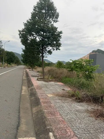 Bán Đất 100m2 có sẵn 100 m2 thổ cư giá 1.65 tỷ tại Xã Tân Phước Thành phố Phú Mỹ Bà Rịa - Vũng Tàu