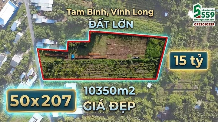 Chính chủ cần bán 10 công đất tại Xã Hòa Hiệp, Vĩnh Long mới