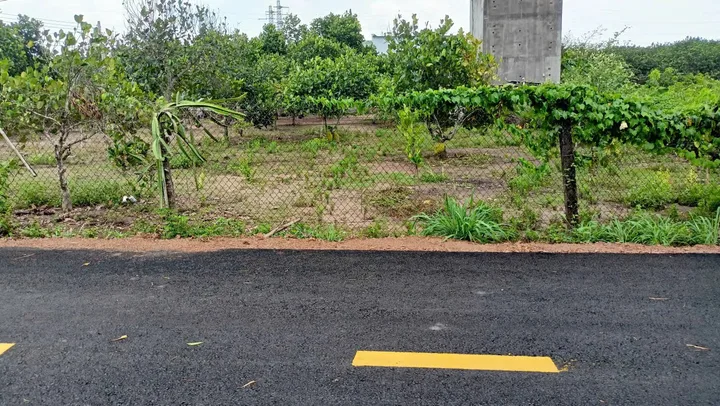 Bán Đất 250m2 có sẵn 100 m2 thổ cư giá 890 triệu tại đường Tỉnh lộ 750 Xã Trừ Văn Thố Huyện Bàu Bàng Bình Dương