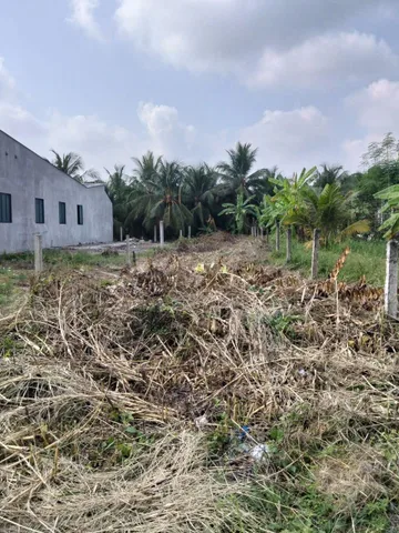 Bán đất nền thổ cư mặt tiền nhựa đường Huỳnh Văn Hề, ấp Long Bình, xã Long An, Châu Thành, Tiền Giang