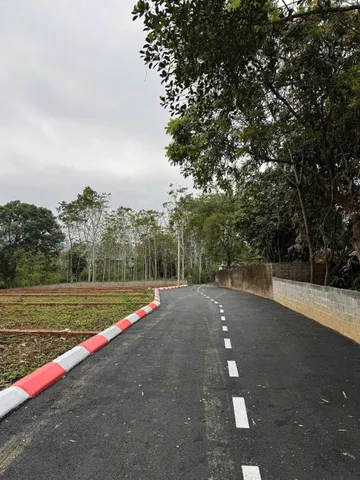 Cần tiền bán rẻ - đất ở đô thị diện tích 151.6m2 giá 355 triệu tại - Chọn - Thị trấn Kỳ Sơn Thành phố Hòa Bình Hòa Bình