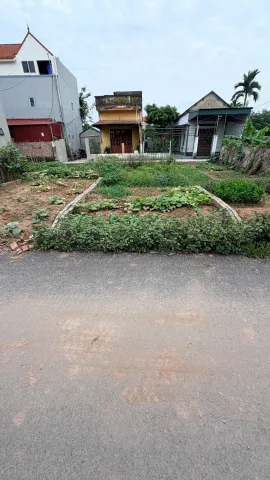 BÁN ĐẤT 2 MẶT TIỀN TẠI PHÚ HOÀ BÌNH KIỀU KHOÁI CHÂU HƯNG YÊN