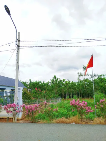Bán gấp 566,1m2 giá 665 triệu, đường nhựa dân đông sổ riêng