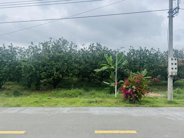 BÁN LÔ ĐẤT 2010M2- SHR- MT NGAY CHỢ, KCN THÔNG THẲNG RA QUỐC LỘ GIÁ 180TR