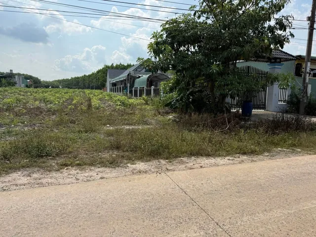 Bán 2 sào đất 2.000m2 shr giá 230 triệu, dân đông gần tỉnh lộ