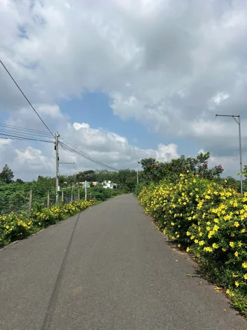 Đất thành phố Hồ Chí Minh - nhựa hiện hữu, 203m2, giá 550 , giấy tờ rõ ràng