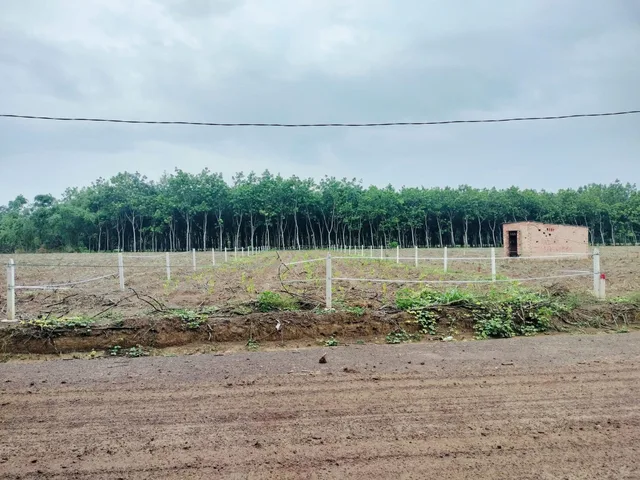 Bán đất Lai Uyên Bàu Bàng, giá chỉ 4XX, sổ hồng riêng, gần chợ gần trường di chuyển ra các tiện ích mất 5p đi xe