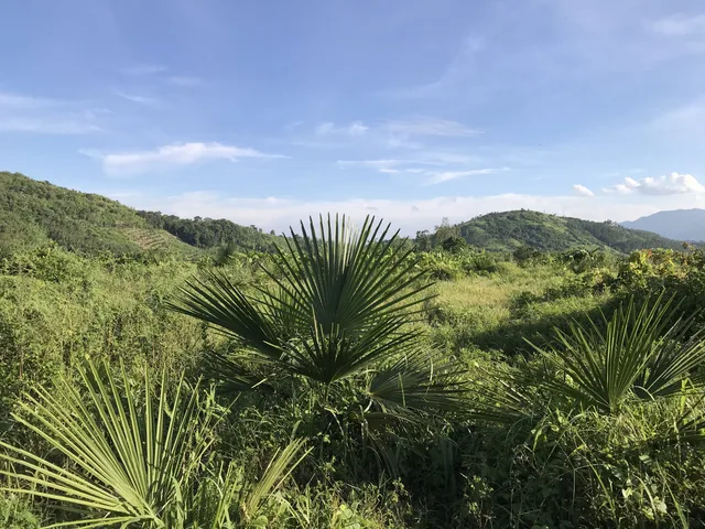 Bán 86677m2 (8,6 ha) đất tại xã Tân Minh, Lâm Đồng chỉ 190k/m2, hướng Đông Nam