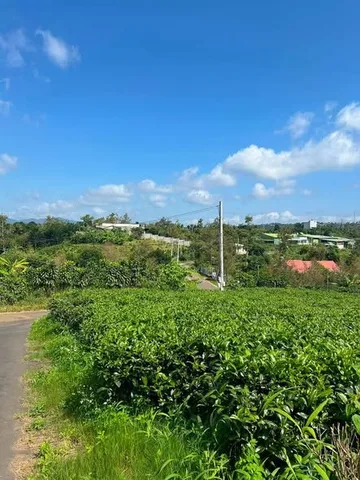 Nc🌿 ĐẤT 2 MẶT TIỀN HẺM TRIỆU QUANG PHỤC – PHƯỜNG B’LAO, TP. BẢO LỘC