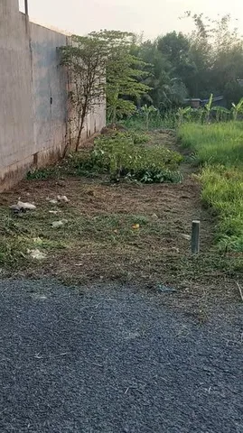 Bán Đất 125.3m2 có sẵn 125.3 m2 thổ cư giá 400 triệu tại Xã Hòa Tịnh Huyện Mang Thít Vĩnh Long