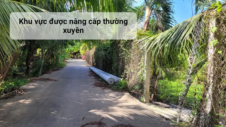CẦN BÁN NHANH Chính chủ N3 KP Mỹ Hưng, Phường Mỹ Phong, Tiền Giang cũ.