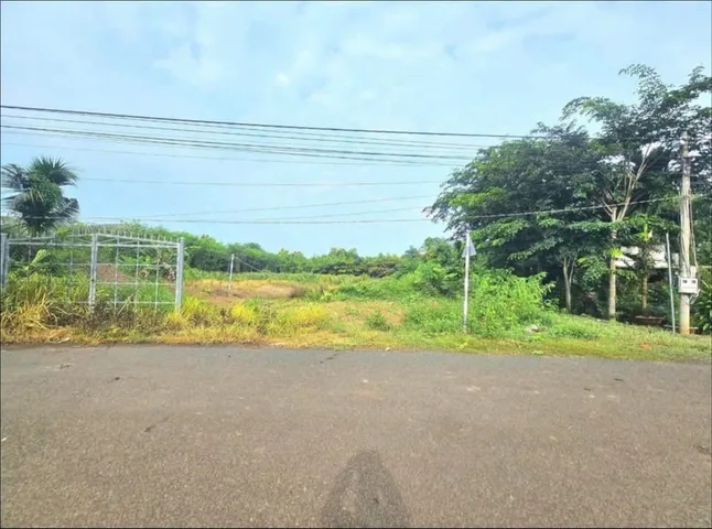 CẦN BÁN GẤP 20x50=1.000M2, SỔ SẲN, CÔNG CHỨNG NGAY, KHU DÂN ĐÔNG