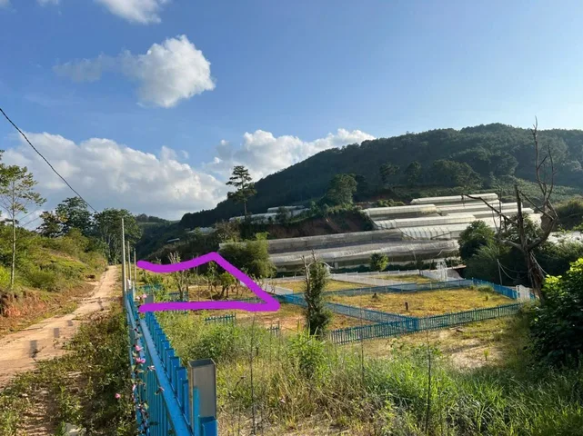 Bán Đất 530m2 giá 2 tỷ tại Đường Măng Lin Phường 7 Thành phố Đà Lạt Lâm Đồng