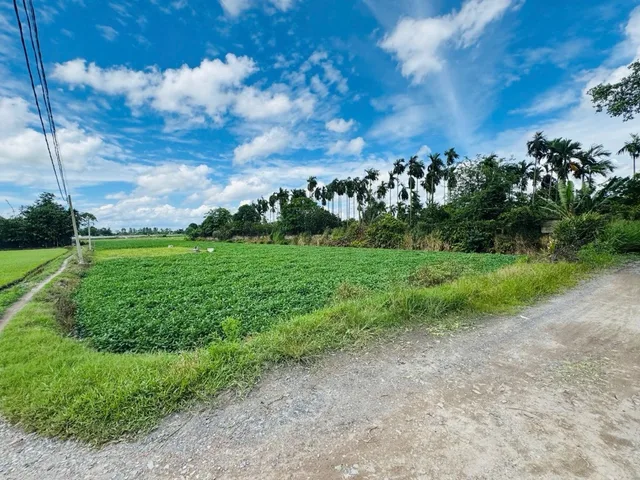 [D2707] Đất ven sông 4819m2 Thạnh Xuân 33 - Giá 2x tỷ