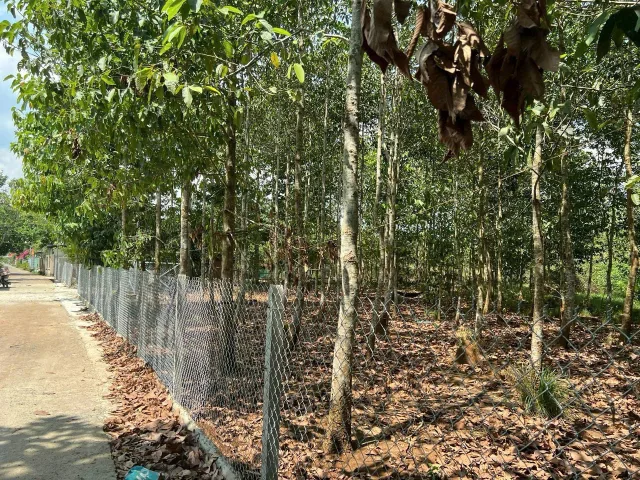 Bán Đất 118m2 có sẵn 90 m2 thổ cư giá 1.4 tỷ tại - Chọn - Xã Bình An Huyện Long Thành Đồng Nai