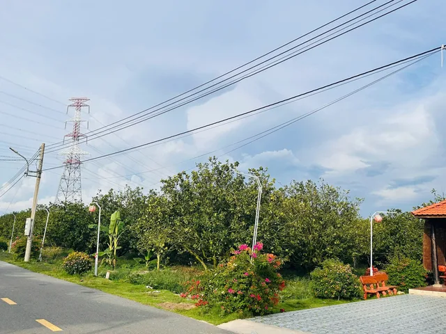 Đất Trừ Văn Thố sát KCN: Vị trí vàng cho nhà đầu tư, sẵn điện 3 pha và vườn bưởi, có quán cafe, xây trọ phát sinh dòng tiền ngay