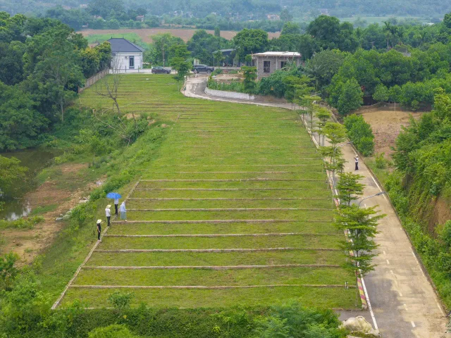 Bán Đất 100m2 có sẵn 50 m2 thổ cư giá 400 triệu tại - Chọn - Thị trấn Ba Hàng Đồi Huyện Lạc Thủy Hòa Bình