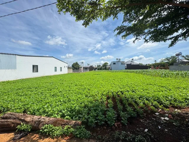Bán Đất 293.6m2 có sẵn 60 m2 thổ cư giá 1.25 tỷ tại Xã Cư Suê Huyện Cư M'gar Đắk Lắk