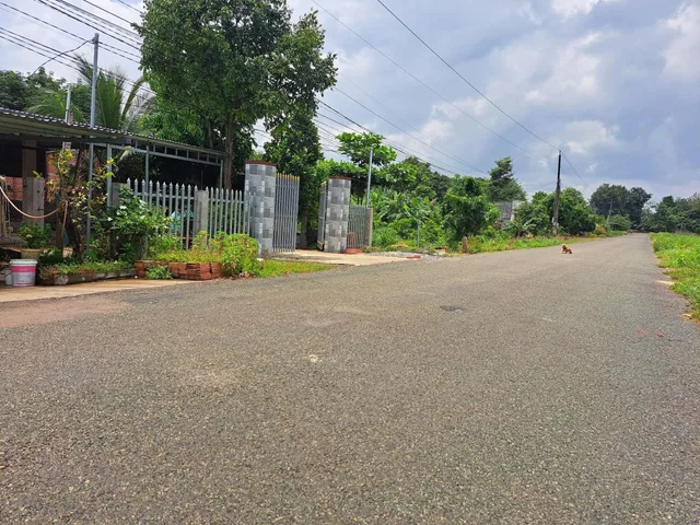 Bán 2 sào đất 2 000m2 có shr dân đông gần tỉnh lộ