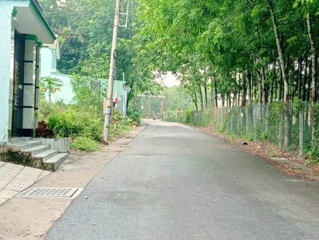 Bán Đất 300m2 có sẵn 100 m2 thổ cư giá 850 triệu tại đường D1 Xã Hưng Hòa Huyện Bàu Bàng Bình Dương