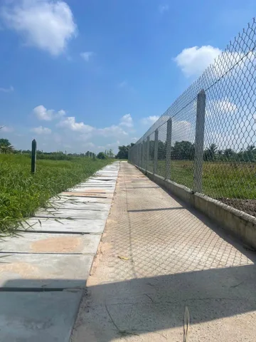 Bán Đất 810m2 có sẵn 40 m2 thổ cư giá 1.4 tỷ tại Đường Nguyễn Thị Chiên Xã Thái Mỹ Huyện Củ Chi TP. Hồ Chí Minh