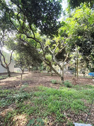 BÁN ĐẤT THỔ CƯ 2 MẶT TIỀN – GIÁ CHỈ 1,85 TỶ – PHƯỜNG PHÚ AN, TP. HỒ CHÍ MINH