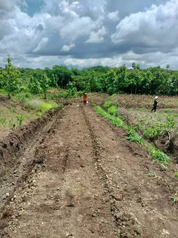 🔥 BÁN GẤP LÔ ĐẤT 1,9 HECTA BÁM SUỐI - GIÁ CHỈ 1 TỶ 179 TRIỆU TẠI EA M'DRÓH 🔥