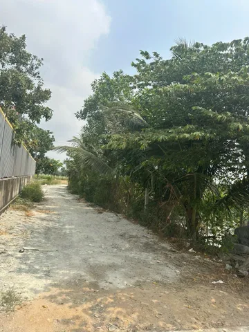 Bán Đất 1700m2 có sẵn 500 m2 thổ cư giá 24 tỷ tại Phường Tân Bình Thành phố Dĩ An Bình Dương