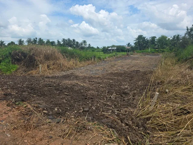ĐẤT VƯỜN , MẶT TIỀN SÔNG VÀM CỎ ( KHU VỰC CHO CHUYỂN FULL THỔ) 550m2 giá 810 triệu - Xã Thạnh Hòa Huyện Bến Lức Long An
