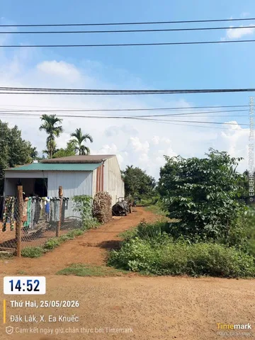 Bán Đất 268.7m2 có sẵn 80 m2 thổ cư giá 799 triệu tại Xã Hòa Đông Huyện Krông Pắc Đắk Lắk