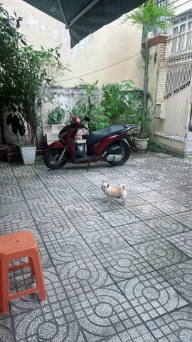 NHÀ HẺM XE HƠI BÀNH VĂN TRÂN - LÝ THƯỜNG KIỆT - ÂU CƠ – NGANG 8.8M HIẾM – 2 TẦNG – 207M² – CHỈ 22 TỶ