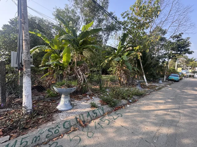 Bán Đất 6133.6m2 có sẵn 300 m2 thổ cư giá 60 tỷ tại Đường Suối Cái - Gành Dầu Xã Gành Dầu Thành phố Phú Quốc Kiên Giang