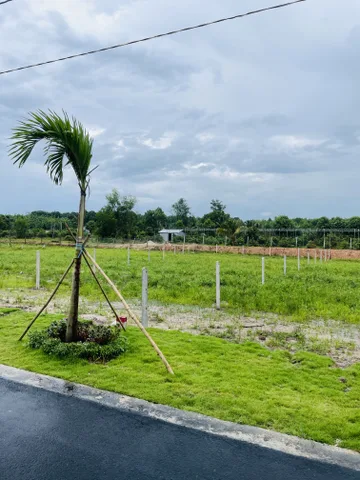 Bán Đất 250m2 có sẵn 100 m2 thổ cư giá 145 triệu tại Xã Minh Thạnh TP. Hồ Chí Minh