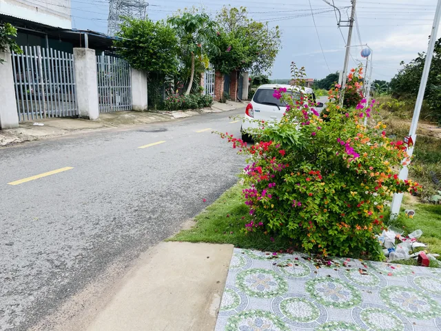 Bán Đất 250m2 có sẵn 100 m2 thổ cư giá 350 triệu tại Xã Trừ Văn Thố TP. Hồ Chí Minh