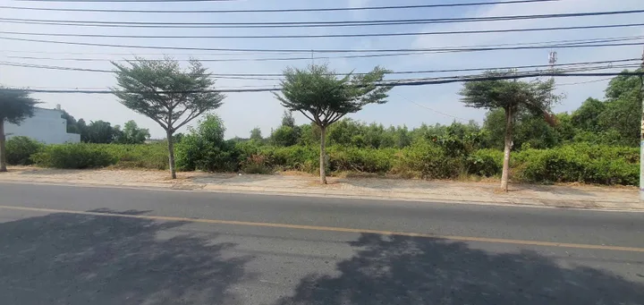 Bán Đất 100m2 giá 120 tỷ tại Xã Nhơn Đức Huyện Nhà Bè TP. Hồ Chí Minh